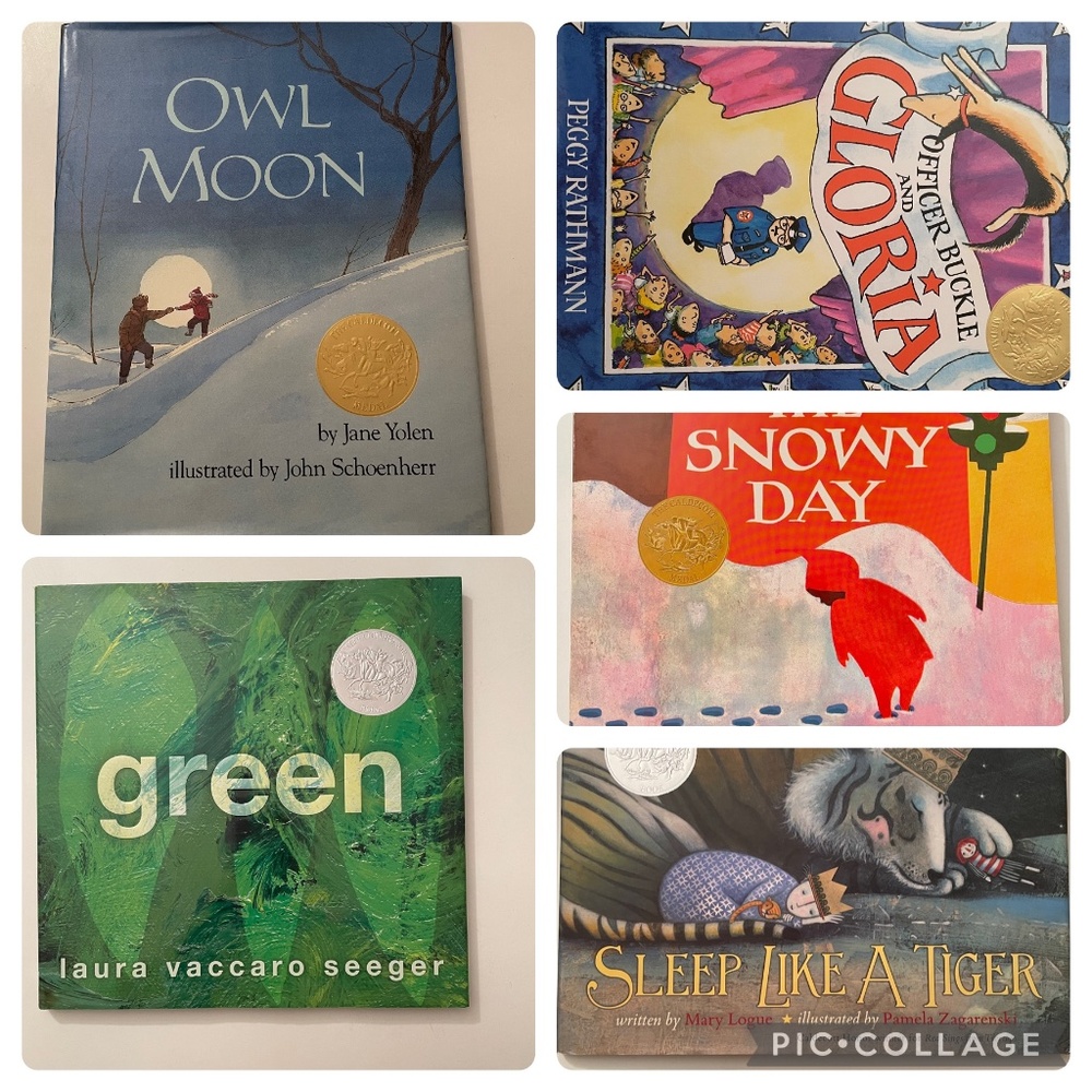 5 Caldecott Honor Award booksSleep Like a Tiger, Green,Owl Moon, The Snowy Day…